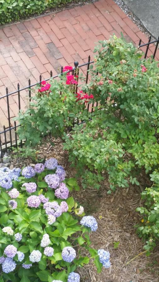 Barclay Cottage Bed And Breakfast Virginia Beach Exterior foto